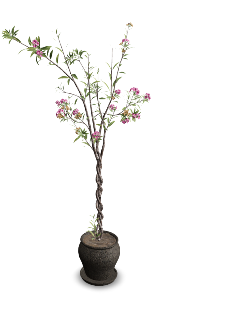 Blooming Flower Plant in Textured Pot