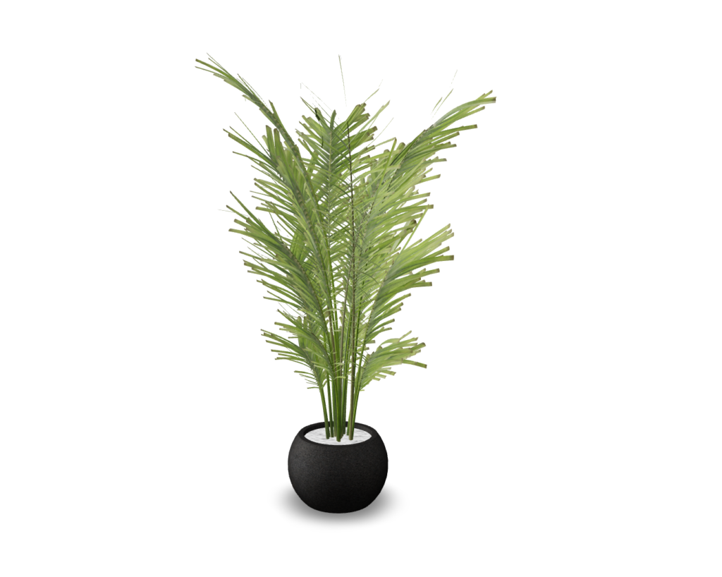 Vibrant Green Leafy Plant in Modern Black Pot