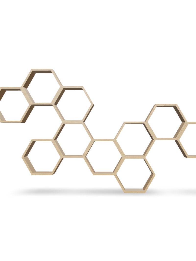 Hexagonal Honeycomb Shelving Unit